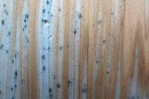  Typischer Hagelschaden auf einer Nadelholzoberfläche an einem Holzgeländer. Die Folgeschäden werden oft erst Monate später sichtbar 