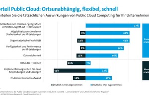  Unternehmen, die IT-Leistungen über das Internet nutzen (Public Cloud Computing), erkennen Vorteile im mobilen Zugriff, der Skalierbarkeit oder einer größeren organisatorischen Flexibilität 