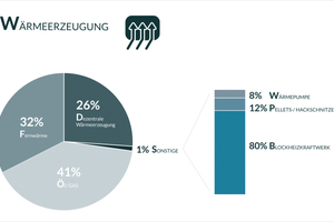  Art der Wärmeerzeugung in den betrachteten Wohngebäuden 