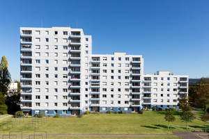  sanierungsprofi24 realisiert gewerkeübergreifende Leistungen aus einer Hand 