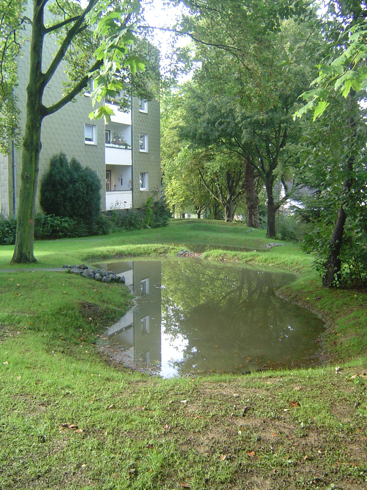 Zukunftsfahige Entwasserungskonzepte Bundesbaublatt