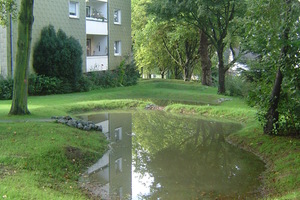  Die naturnahe Niederschlagswasserbewirtschaftung ist ein zen­traler Planungsgrundsatz der BFR Abwasser 