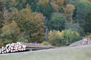  Moderne Holzbrennstoffe sind Nebenprodukte der Holzindustrie sowie der Forstwirtschaft 