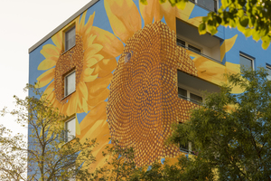  Der Innenbereich der Sonnenblumen ist nach der Fibonacci-Reihe aufgebaut: Jede Sonnenblume hat in diesem Bereich 34 linksdrehende Spiralen und 55 rechtsdrehende Spiralarme 