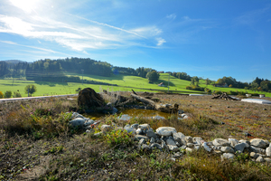  Dachbiotope als Sonderform der Extensivbegrünung bieten Vögeln, Käfern und Insekten, sowie vielen heimischen Bienenarten Unterschlupf und ein breites Nahrungsangebot 