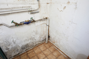  Feuchtigkeitsschäden im Keller äußern sich oft in Schimmel und Salz-ausblühungen an der Wand 