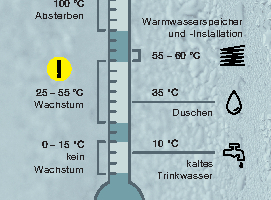  Zwischen 25 und 55 °C ist exponentielles Legionellen-Wachstum nachgewiesen. Entsprechende Temperaturen sind in der der Trinkwasser-Installation also ein eindeutiger Hinweis für ein solches Hygienerisiko 