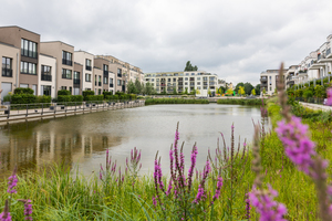 Schwammstadt: Das Wasserbecken nimmt Regenwasser auf und lässt es verdunsten 