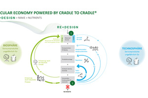  Cradle to Cradle beschreibt die potenziell unendliche Zirkulation von Materialien und Nährstoffen in zwei Kreisläufen: dem biologischen und technischen 
