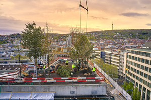  Für Dachbegrünungen regelt die DIN 4108-4 das Brandverhalten klassifizierter Baustoffe, Bauteile und Sonderbauteile. Foto zeigt die Baustelle „Calwer Passage“ in Stuttgart, 2022 
