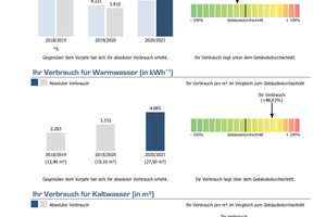  Die Verbrauchsvergleiche mit Vorjahresdaten in einem Muster von erweiterten Informationen auf der jährlichen Abrechnung.  