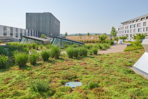  Das Dach der Fahrzeughalle mutet ein wenig wie ein Park an 