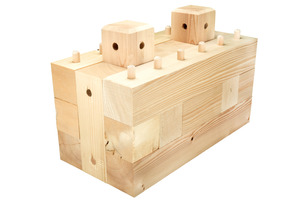  Die Holzbausteine (Briqs) mit patentiertem Dübetl-Verbindungssystem ermöglichen das Bauen ohne chemische Verbindungsmittel, wodurch sie die Holzbausteine sortenrein zurückbauen und komplett recycln lassen 