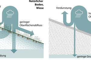  Regenwasserabfluss auf steilem Gelände mit unversiegelter Wiesenfläche im Vergleich versiegelte Asphaltfläche aus KLIBAU-Broschüre  