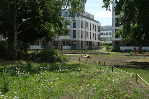  Nach der Umgestaltung blüht es im 1.500 Quadratmeter großen Naturgarten zur Freude der Tierwelt und Mieterschaft 