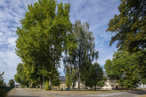  Durch den Erhalt von so viel Bestand wie möglich werden nicht nur Ressourcen geschont, die Neubau-Quartiere erhalten dadurch einen Altbau-Charme. Außerdem müssen die Bewohner des Quartiers nicht erst Jahrzehnte warten, bis sie den Schatten ausgewachsener Bäume genießen können 
