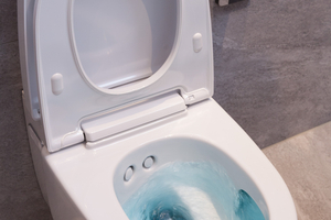  Das Geberit Dusch-WC AquaClean Mera Comfort überzeugt mit hochwertigen Funktionen, wie der WhirlSpray-Duschtechnologie, der TurboFlush-Spültechnik oder einem Warmluftföhn 