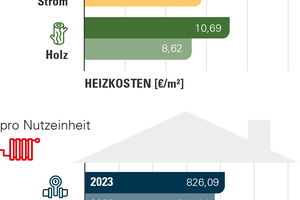  Abbildung 3: Verbrauchskosten für Raumheizung in nicht verbundenen Anlagen nach Energieträgern  