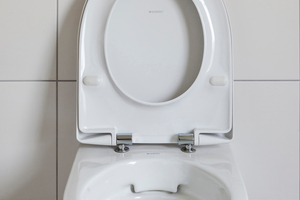  Dank Absenkautomatik von WC-Sitz und -Deckel lässt sich das Geberit Renova WC entspannt und geräuscharm schließen 