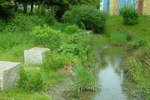  Freiburg im Breisgau, Solarsiedlung: Am Sonnenschiff, einem kombinierten Geschäfts- und Wohnbau entlang der Merzhauserstrasse, beginnt der Entwässerungsgraben, der das Regenwasser kombiniert versickert und weiterleitet 