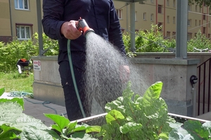  Auf den Dächern auftreffender Niederschlag wird gesammelt und zur Bewässerung des begrünten Innenhofs, der sechs Hochbeete und der Beete auf der Dachterrasse genutzt. Dies geschieht bequem mit Schlauchbrausen 
