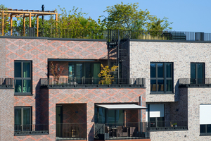  Neben dem kreuzförmigen Park auf dem Gelände von maxfrei bietet das Baufeld 3 den Bewohner*innen der obersten Etagen zusätzlich Zugänge zum gemeinschaftlichen Dachgarten 