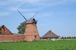  Damit die alte Mühle als Wohnraum dienen kann, wurde im Zuge der Gesamtsanierung ihre 100 m² große Haube abgedichtet 