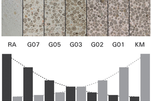  Bild 1: Verlauf der Festbetoneigenschaften bei einer schrittweisen Erhöhung der Porosität 
