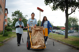  Das ROS-Projekt wurde 2005 ins Leben gerufen und zieht seit dem jedes Jahr positive Bilanz: Die Kosten für Arbeitskleidung und Personal sind geringer als die Instandhaltungskosten der Jahre zuvor für die Beseitigung  verursachter Vandalismusschäden 