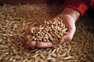  Holzpellets als nachhaltiger Brennstoff sind weltweit auf dem Vormarsch 