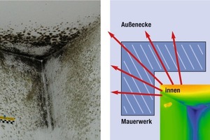  Wärmebrücken führen häufig zu Schimmelbildung im Eckbereich 