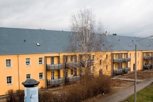  Aus Umweltsicht kann der Dach-Stein punkten 