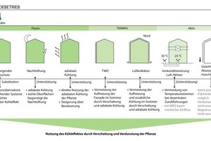  Maßnahmen zur Bedarfsdeckung der Kühlung. Darstellung der Synergien und Konkurrenzen in Kombination mit Gebäudebegrünung 