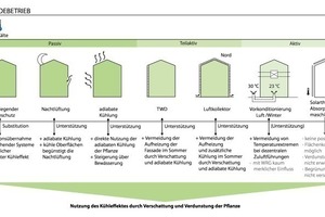  Maßnahmen zur Bedarfsdeckung der Kühlung. Darstellung der Synergien und Konkurrenzen in Kombination mit Gebäudebegrünung 