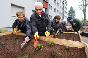   „Essbare Siedlung“ – Urban Gardening in Frankfurt-Niederrad 