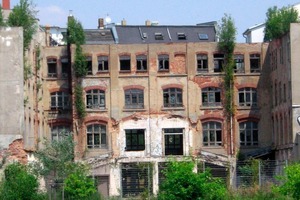  Stadtbrache mit Spontanvegetation 